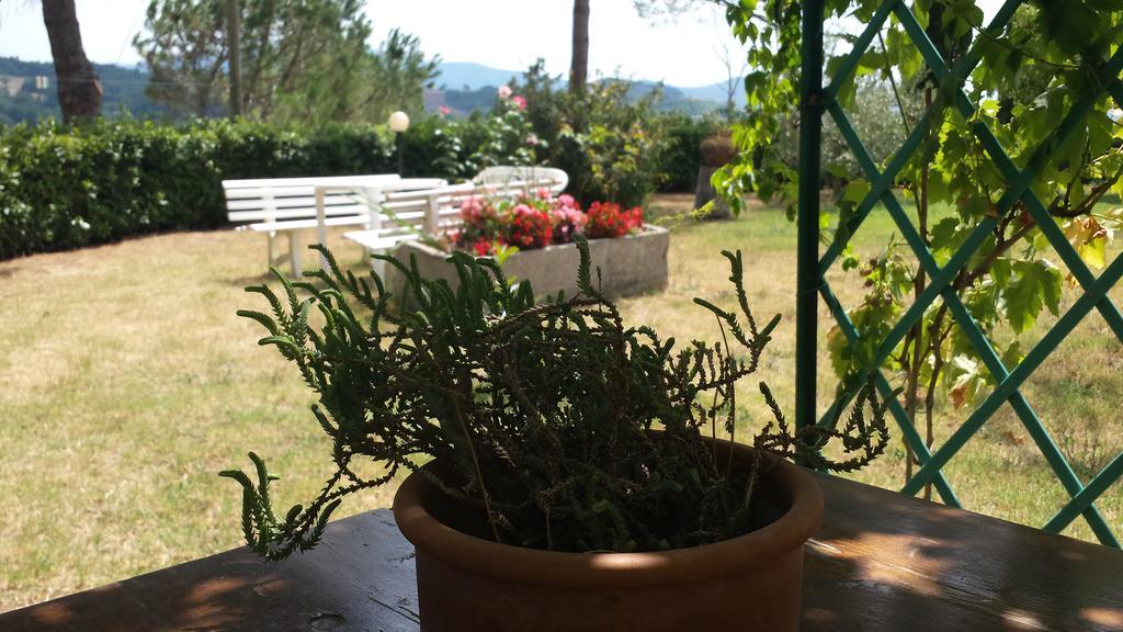 Agriturismo Il Catrino Ponteginori Ngoại thất bức ảnh