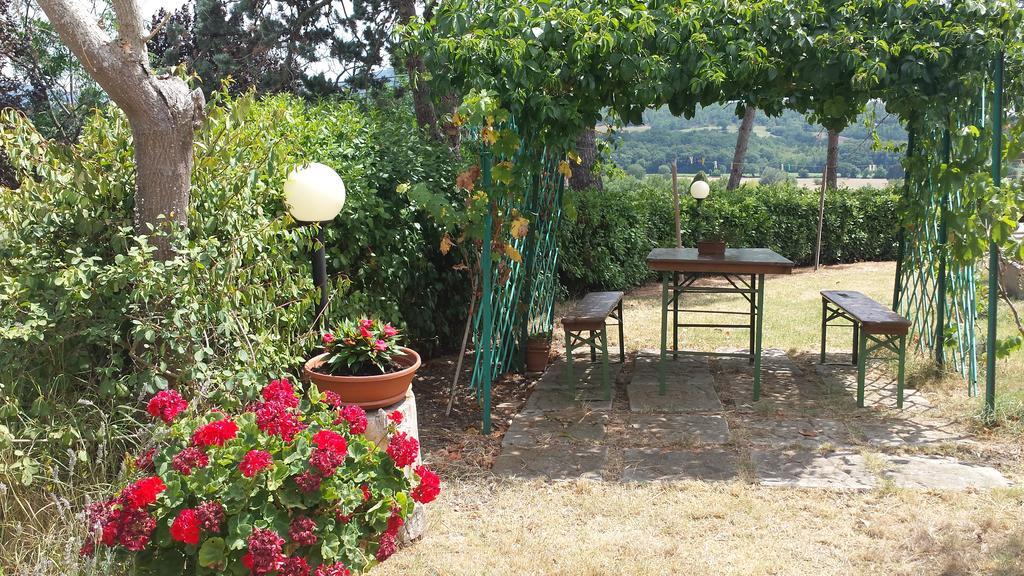 Agriturismo Il Catrino Ponteginori Ngoại thất bức ảnh