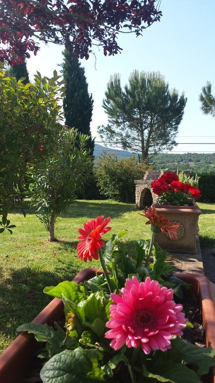Agriturismo Il Catrino Ponteginori Ngoại thất bức ảnh