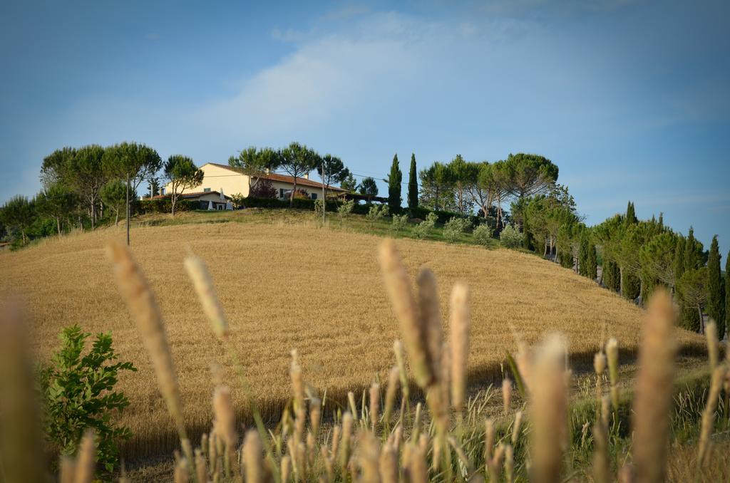 Agriturismo Il Catrino Ponteginori Ngoại thất bức ảnh