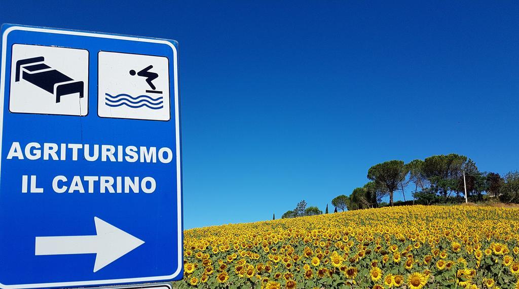 Agriturismo Il Catrino Ponteginori Ngoại thất bức ảnh