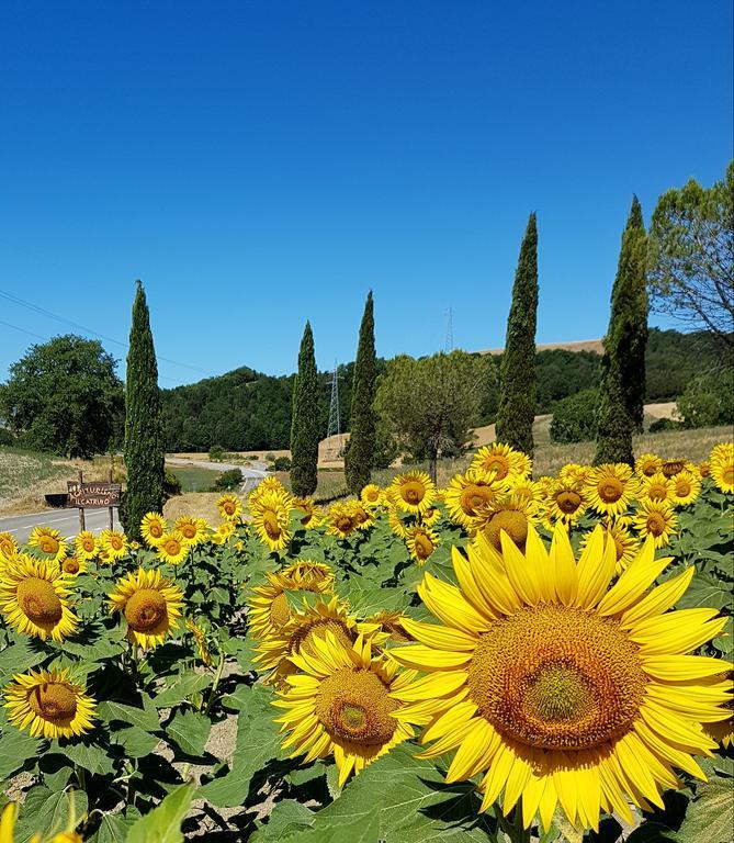 Agriturismo Il Catrino Ponteginori Ngoại thất bức ảnh