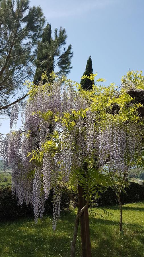 Agriturismo Il Catrino Ponteginori Ngoại thất bức ảnh