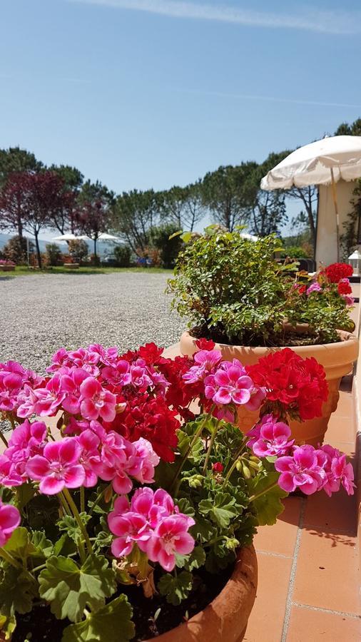Agriturismo Il Catrino Ponteginori Ngoại thất bức ảnh