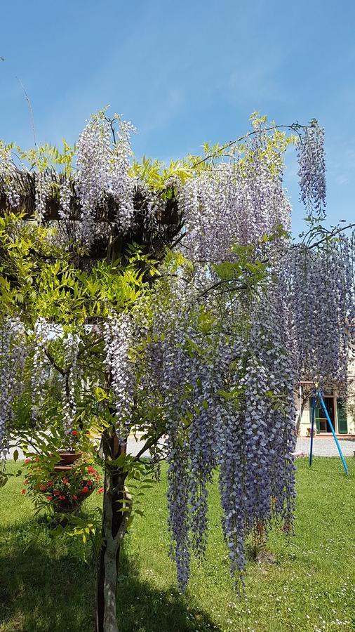 Agriturismo Il Catrino Ponteginori Ngoại thất bức ảnh