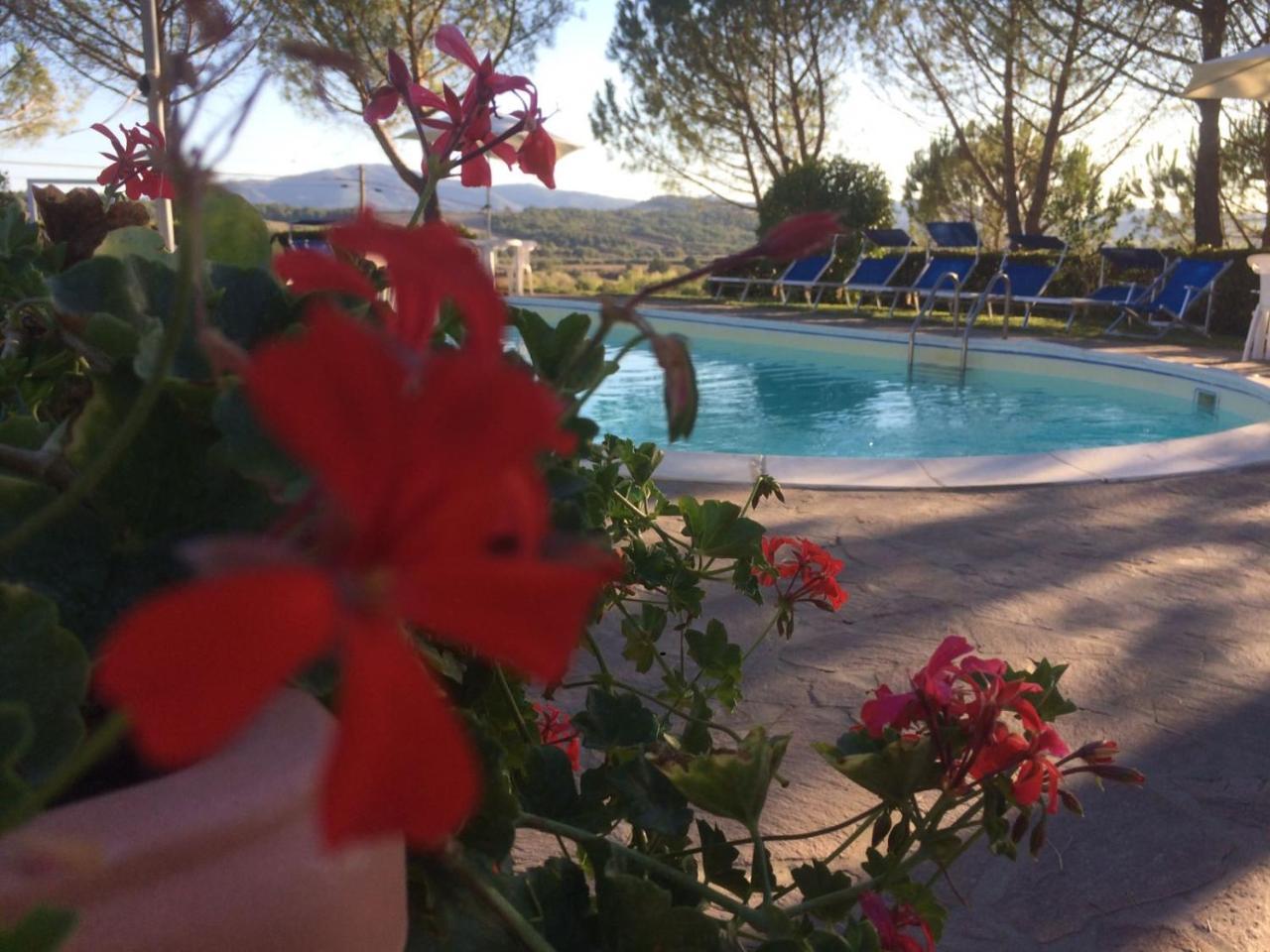 Agriturismo Il Catrino Ponteginori Ngoại thất bức ảnh